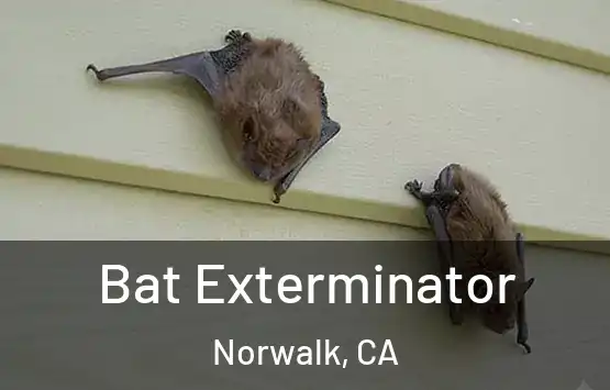  Bat Exterminator Norwalk, CA