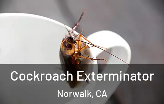  Cockroach Exterminator Norwalk, CA