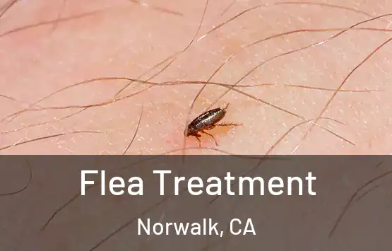  Flea Treatment Norwalk, CA