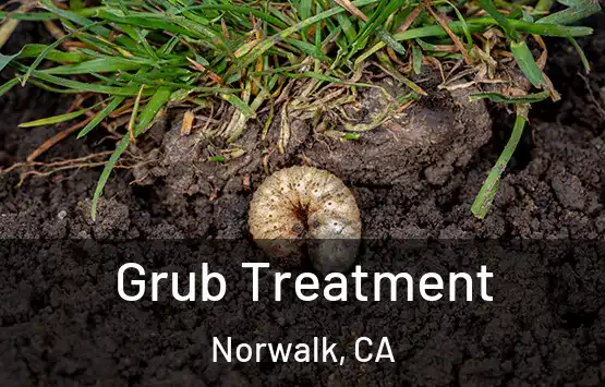  Grub Treatment Norwalk, CA