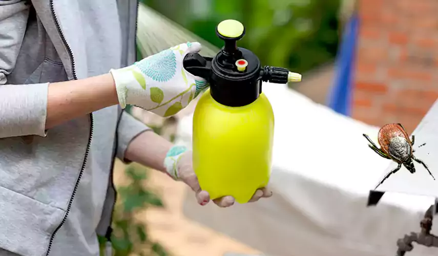 Ticks Pest Control Norwalk, California