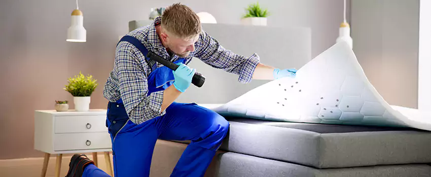 bed-bug-treatment in Norwalk, CA