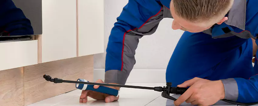 Ant Control for Bedrooms in Norwalk, CA