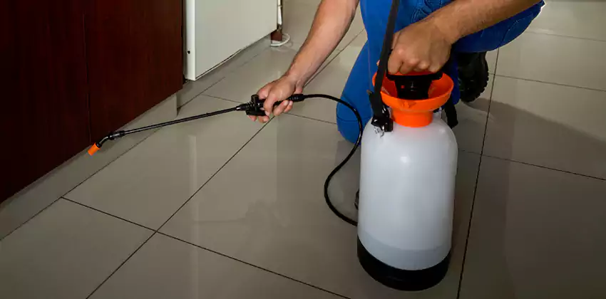 Commercial Pest Extermination for Offices in Norwalk, CA