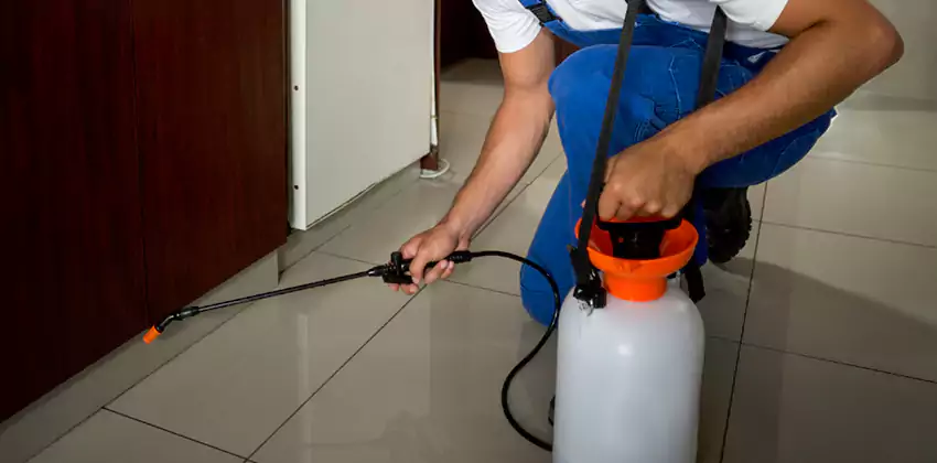 Commercial Flea Exterminator Company in Norwalk, CA