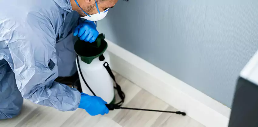 commercial-pest-exterminator in Norwalk, CA