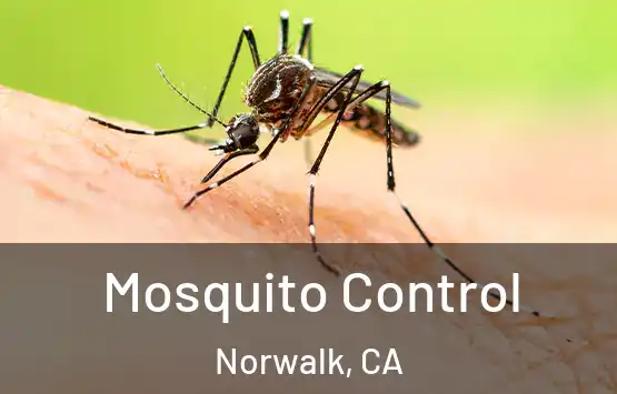  Mosquito Control Norwalk, CA