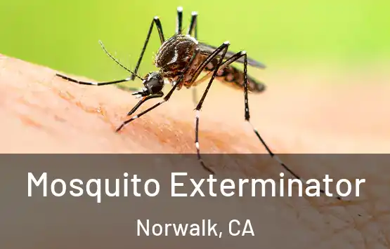  Mosquito Exterminator Norwalk, CA