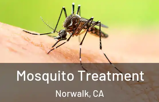  Mosquito Treatment Norwalk, CA