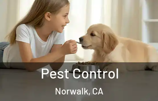  Pest Control Norwalk, CA