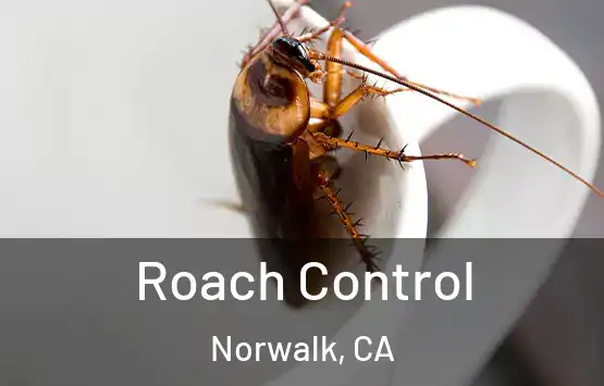  Roach Control Norwalk, CA