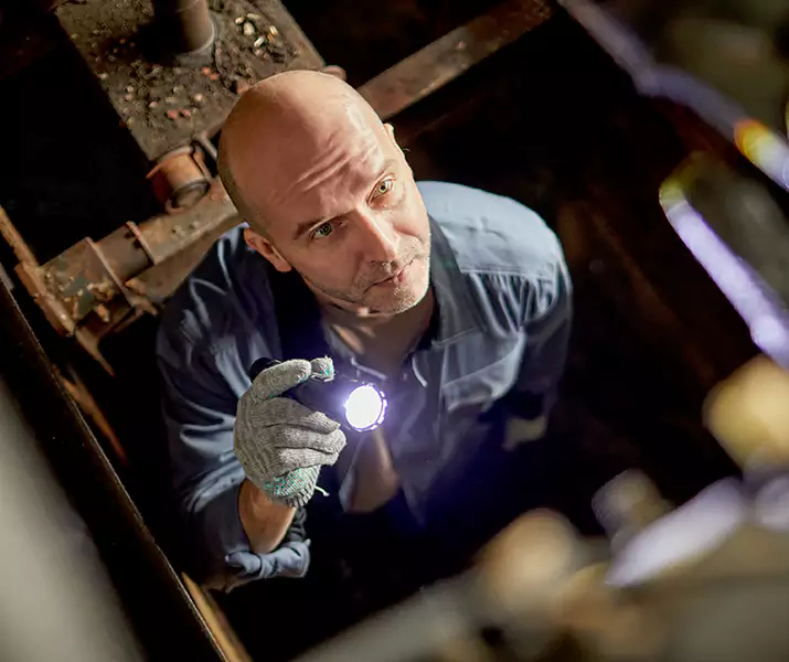 About Pest Inspection Norwalk