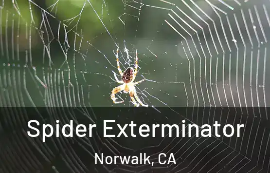  Spider Exterminator Norwalk, CA
