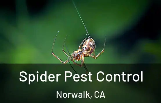  Spider Pest Control Norwalk, CA