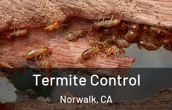  Termite Control Norwalk, CA