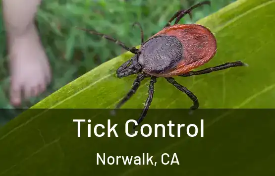  Tick Control Norwalk, CA