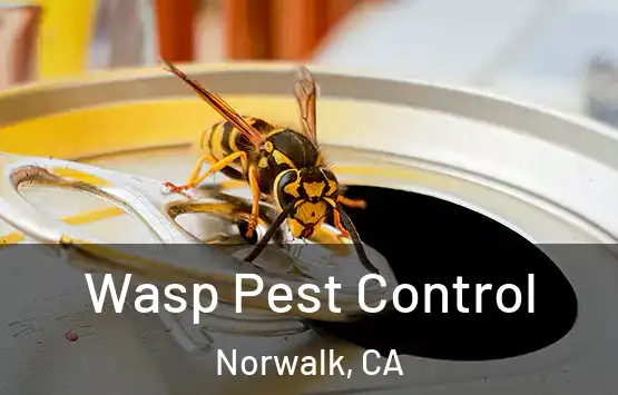  Wasp Pest Control Norwalk, CA