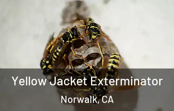  Yellow Jacket Exterminator Norwalk, CA